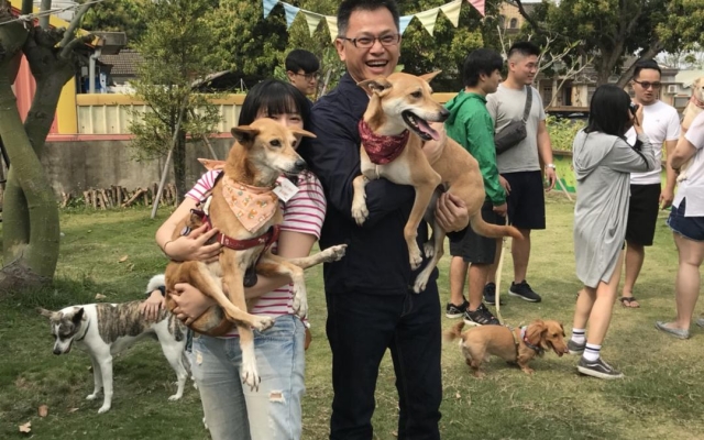 毛小孩開趴　歡樂彰化埔心鄉圖