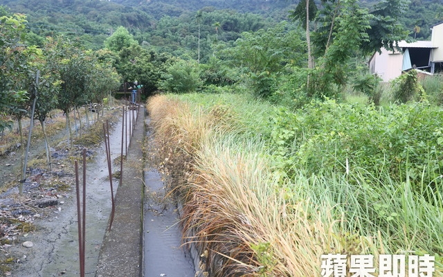 巴拉刈之爭2 國際趨勢！中國禁用還回收庫存　卻生產出口台灣圖