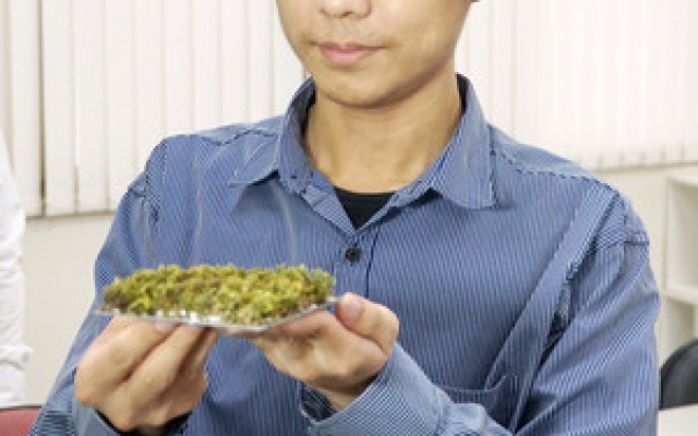 大葉學生飆創意！牡蠣殼＋苔癬＝隔熱塗料　牛樟芝吃豆渣零廢棄圖