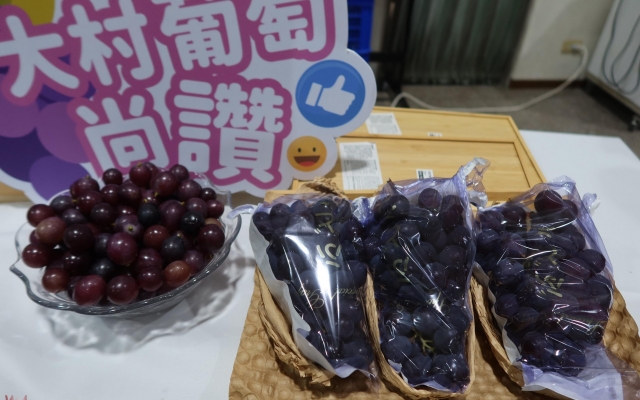 紫戀大村葡萄觀光文化季　大村打造台灣最具魅力的葡萄小鎮圖
