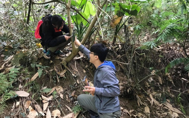 山羌在八卦山脈現蹤！牠的天敵是人和野狗圖